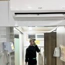 매일장갑