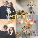 [인천 파티룸] 검단 돌촬영,셀프 스튜디오 파티룸 달토끼_감성가득 인생샷 찍고 온 후기!
