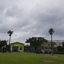 선흘초등학교 이미지