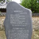 경남 함양 화림동/용추계곡에서 연두빛으로 빛나는 봄날 하루를 즐기다(2026.05.02) 이미지