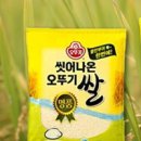 (주)대지 노은도매할인마트