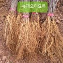 용문슈퍼 이미지