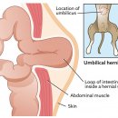구산동강아지 이미지