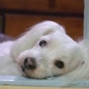 구월2동-10 이미지