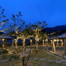 피그스토리 이미지