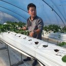 일산1리 이미지