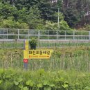 화진포둘레길(원당리) 이미지