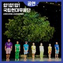 얍얍얍 | 금천문화재단 금나래아트홀 국립현대무용단 어린이무용 얍얍얍 후기