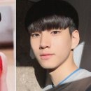 얼짱펫 이미지
