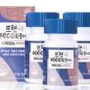 홀리트리