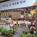 코레일유통일산역 이미지