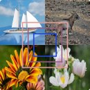 청운리 경로당 이미지