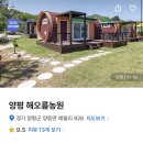 양평 1박 2일 여행 [해오름농원] 펜션 솔직후기 / [개군할머니토종순대국] 맛집후기