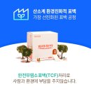 안전한 생리대 추천! 올리브영 하얀하얀 순면생리대 어떻길래?