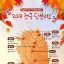 2018 전국 단풍지도 이미지