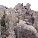 암태중학교 이미지