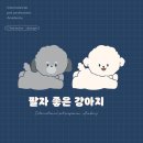 국제반려동물직업개발원