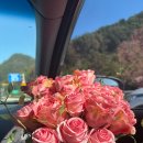 하늘등대 | W03. 아이폰XS 셀프 웨딩스냅 속초 등대해수욕장 바다 촬영 후기 꿀팁 공유