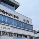 희망수산 | 수원 권선동 가성비 넘치는 제철 특대방어 포장 추천후기 : 희망수산 수원농수산물도매시장점