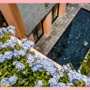 코코풀빌라 이미지