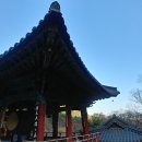 돈짐농장 이미지