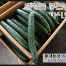 매일비닐 포장상사