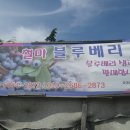 철마농장 이미지