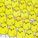 삐약삐약출판사 이미지