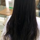 파니샵