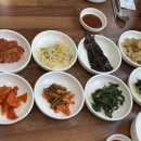 풍향동맛집 광주5미 풍향시장 오리탕
