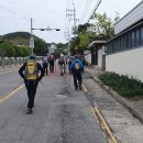 외포초교 뒤 이미지