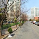 내정로165번길 이미지