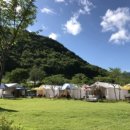 무릉도원면-26 이미지