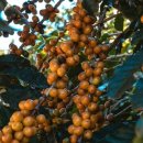 커피톡톡 이미지