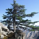 김뻑국의 팔도유람 재담공연 | 화를 다스리는 방법