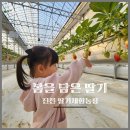홍익어린이집 | 진천딸기체험 농장 봄을담은딸기 간식 맛집 키즈카페같은 곳
