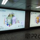 한국인견패션연구원 이미지