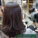 둘둘미용실 이미지