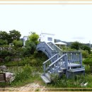 컴투펫 위탁보호센터 이미지