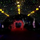 수성랜드 이미지