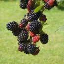 민플란트치과의원 이미지