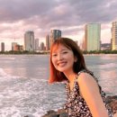 스텔라또 이미지