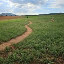 선운산농장 이미지