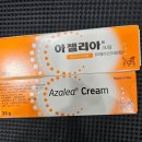 아젤리아 이미지