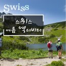 트립포미 이미지