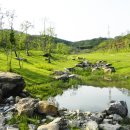 송백로-3 이미지