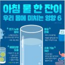 맥도날드 상하이 버거세트는 가격이얼마야? 이미지