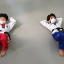 경희대 태권나라 태권도장 이미지