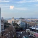 목동119안전센터앞 이미지
