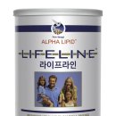 알파인터내셔널